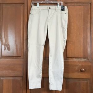 NY&Co pant